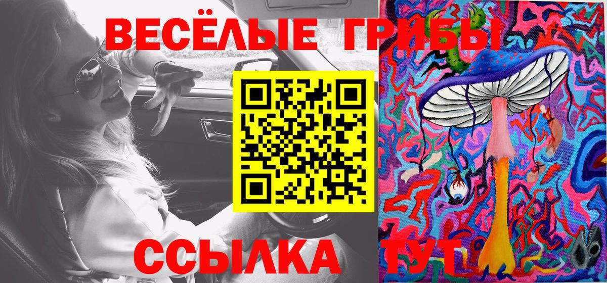 Галлюциногенные грибы Psilocybine cubensis  Вход с VPN  Егорьевск 